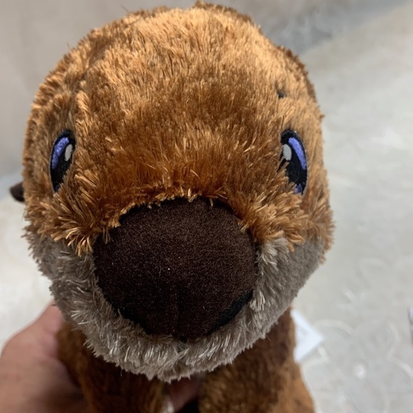 Disney Pixar Sea Otter plush 10" from Find Nemo blue eyes Disney Store - Picture 9 of 10